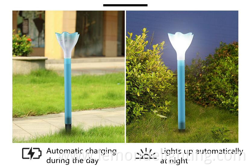 Outdoor solar pathway lighting